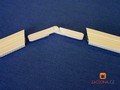 sestaven atypick st proti hmyzu 1
