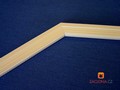 sestaven atypick st proti hmyzu 3