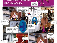 Designérka Karolínka - A jaká je naše nabídka stínění a dekorací oken pro "pavouky"