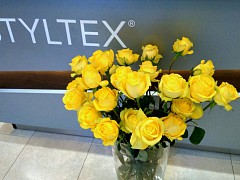 Květiny ve studiu Styltex